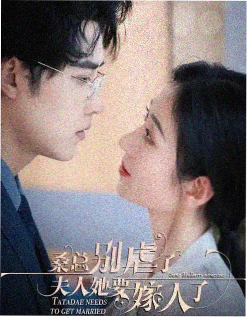 经典刑侦电视剧《旧案重提》封面